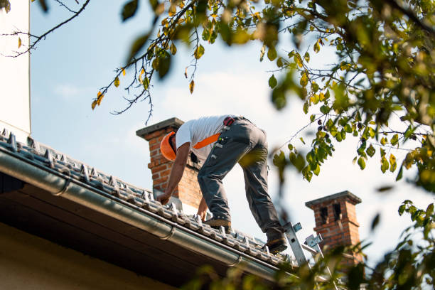 Best Local Roofing Companies  in St Francis, KS