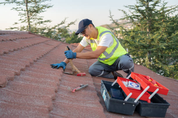 Best Roof Restoration Services  in St Francis, KS