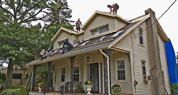 Best Roofing Contractor Near Me  in St Francis, KS